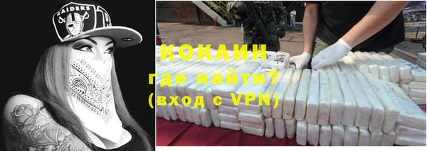 сатива Корсаков