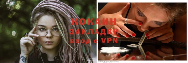 сатива Корсаков