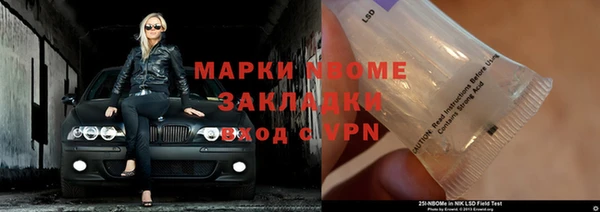 трава Коряжма