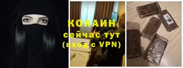 трава Коряжма
