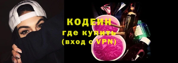 сатива Корсаков