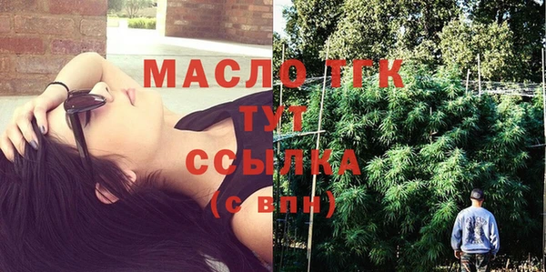 сатива Корсаков