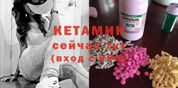 трава Коряжма