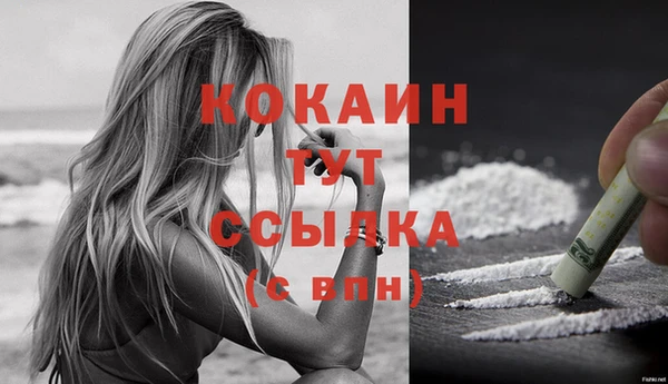 трава Коряжма