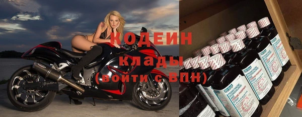 трава Коряжма
