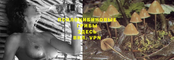 трава Коряжма