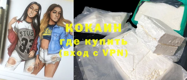 трава Коряжма