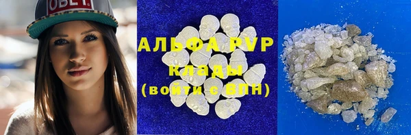 сатива Корсаков