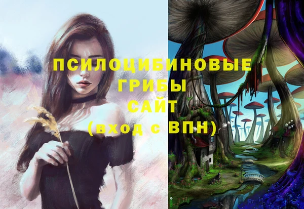 сатива Корсаков